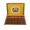 Partagas Aristocrats Cigar - Box of 25